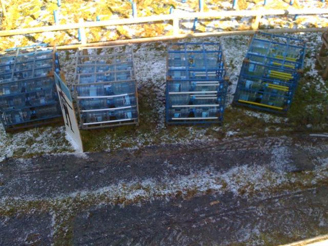 Gefrorenes Trinkwasser